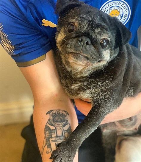 Lucky Pug Brabet