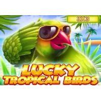 Lucky Tropical Birds 3x3 Betfair
