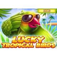 Lucky Tropical Birds 3x3 Betsson