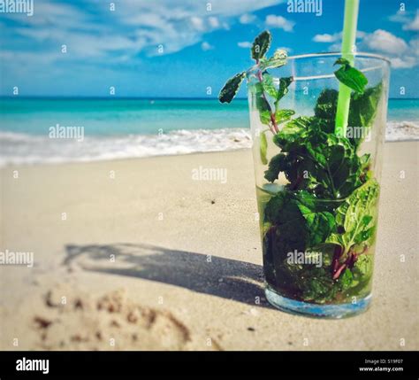 Mojito Beach Netbet