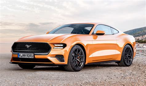 Mustang Gold Review 2024