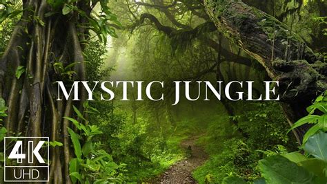 Mystic Jungle Betsul