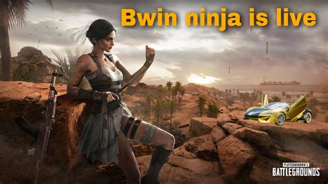 Ninja Bwin