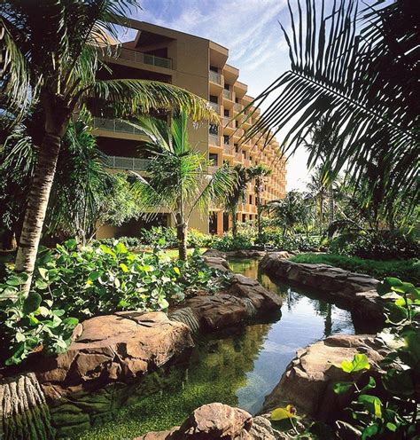O Radisson Aruba Resort Casino Spa Imagens