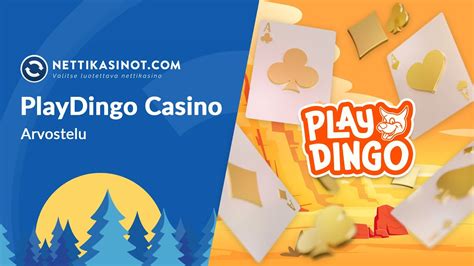 Playdingo Casino Paraguay