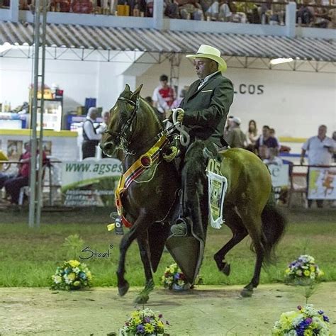 Poker De Templo Montesa