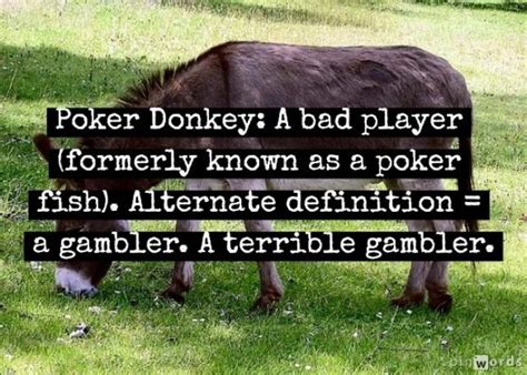 Poker Peixe Vs Donkey