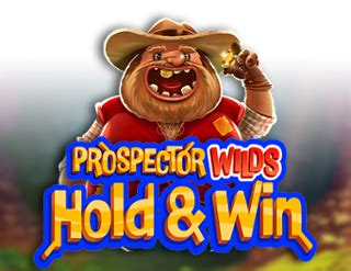 Prospector Wilds Hold And Win Betsul