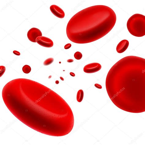 Roleta Celulas Vermelhas Do Sangue