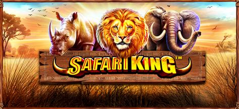 Safari King 1xbet