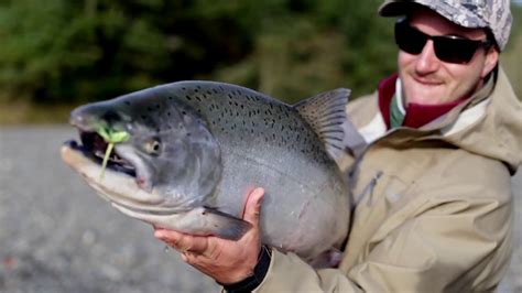 Salmon Catch Betfair