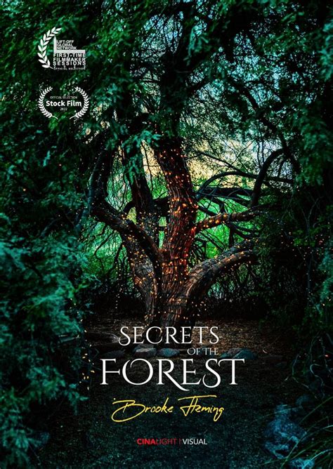 Secrets Of The Forest Betsul