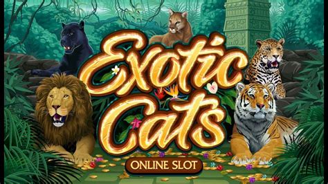 Slot Exotic Cats