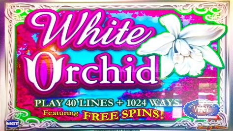 Slot White Orchid