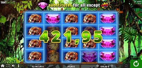 Stacked Cats Slot - Play Online
