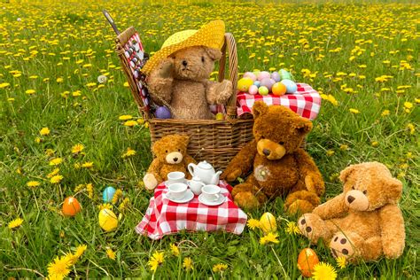 Teddy Bears Picnic Betway