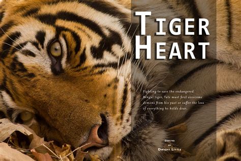 Tiger Heart Netbet