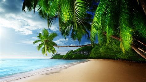 Tropic Paradise Leovegas