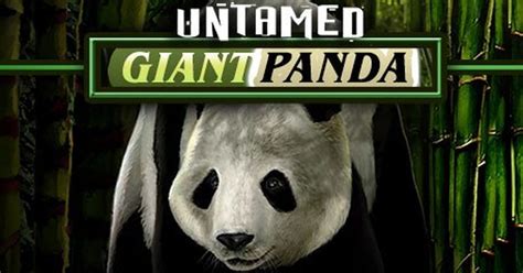 Untamed Giant Panda 1xbet