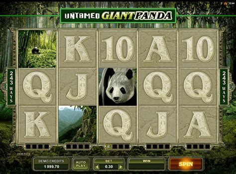 Untamed Giant Panda Slot - Play Online