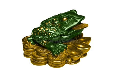 Wealth Toad Betway