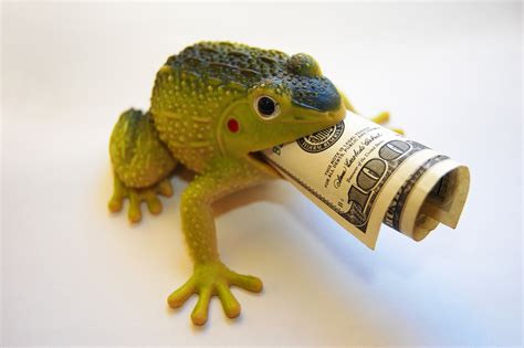 Wealth Toad Netbet