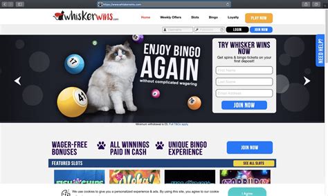 Whisker Wins Casino Panama