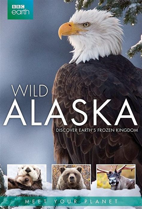 Wild Alaska Bet365