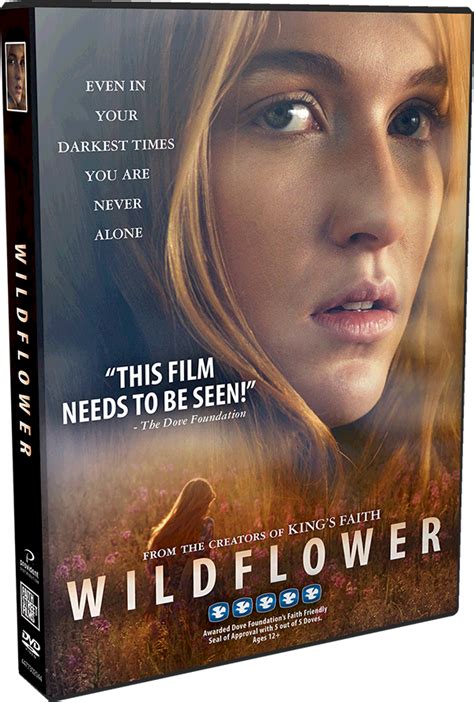 Wild Flower Review 2024