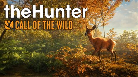 Wild Hunter Review 2024