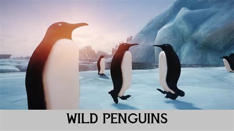 Wild Penguin Pokerstars