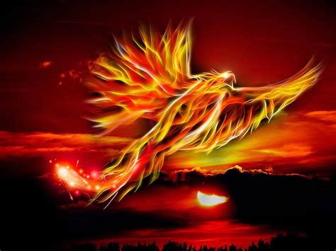 Wild Phoenix Rises Blaze