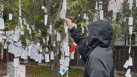 Wishing Tree Netbet