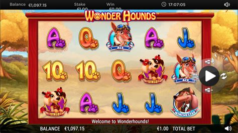 Wonder Hounds 95 Betfair