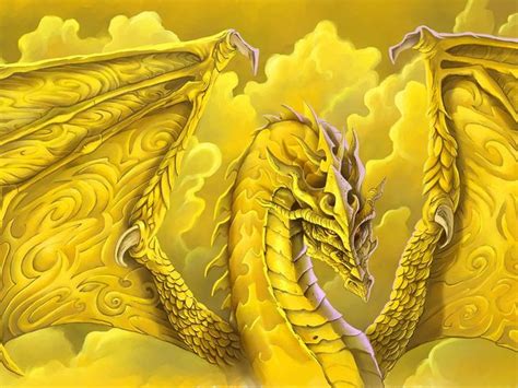 Yellow Dragon Bodog